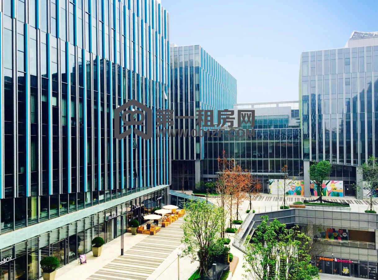 大虹桥国际